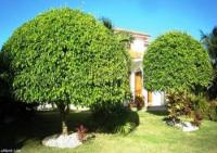 Haus kaufen Sosúa/Dominikanische Republik klein 4ji4mcxajxgm