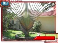 Haus kaufen Sosua klein g3pon178vl6i