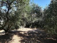 Haus kaufen Spilia bei Kolymvari klein bpl6zsvkxrwu