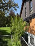 Haus kaufen St. Augustin klein f2glwidcp5cx