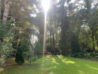 Haus kaufen St. Augustin klein j37ihxgjf4bd