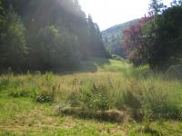 Haus kaufen Stetten am kalten Markt klein c466c79amo2j