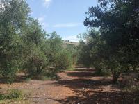 Haus kaufen Stilos klein muuz4z8i5lim