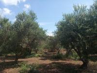 Haus kaufen Stilos klein rfiedyobdy3r