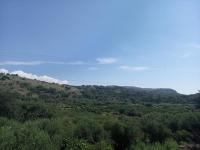 Haus kaufen Stilos klein rulv8phk1u91