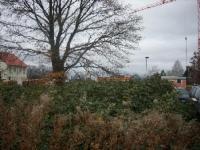 Haus kaufen Straubenhardt-Schwann klein vvecdkbozeu2