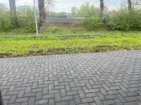 Haus kaufen Surwold klein lbabe73vis6c