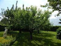 Haus kaufen Szajk klein b4ov2rmunzlh