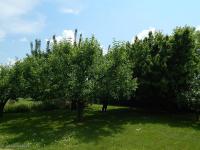 Haus kaufen Szajk klein gpeefv0wh25q