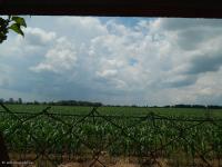 Haus kaufen Szajk klein v5m4ar03tdqg