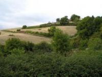 Haus kaufen Tatti frazione di Massa Marittim klein qmt9i3gyzthq