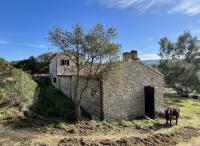 Haus kaufen Tempio Pausania klein j9c14mu6wp79