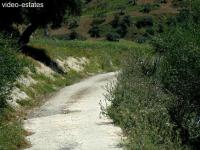 Haus kaufen Tolox klein vbr56kddpx5a