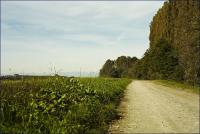 Haus kaufen Tornaco klein 1mxupb9oq014