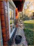 Haus kaufen Trebbin klein k9g0reyj4c4c