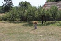 Haus kaufen Üjvarfalva klein 61vxs02jigif