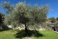 Haus kaufen Vafes klein 8j3i2aozqz65