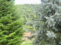 Haus kaufen Veliko Tarnovo klein sguaclhl8ufs