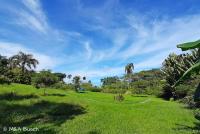 Haus kaufen Villa Magante klein xksja0ayvp9q