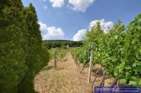 Haus kaufen Vinica klein 4lf8o7ybemaz