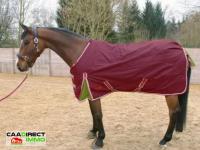 Haus kaufen Volgelsheim klein dhcbw40tjw6u