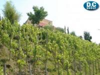 Haus kaufen Warstein klein gp97dgzq0rzv