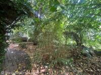 Haus kaufen Weißenohe klein 4wjcufjh208t