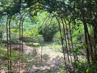 Haus kaufen Weißenohe klein 98o0jzxdgy1f