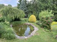 Haus kaufen Wildenfels klein osfsi721jkxj