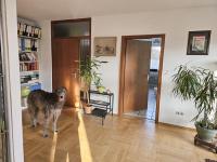 Haus kaufen Winnweiler klein dlwyx8hler5z