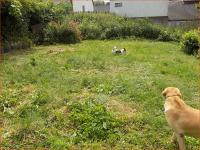 Haus kaufen Wülfrath klein t9h05i4jkpd8