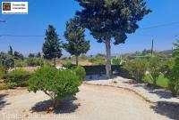 Haus kaufen Xerosterni klein tk1r40daw5q6