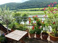 Haus kaufen Zeltingen-Rachtig klein 5itixd1ml9b8