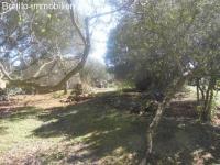 Haus Maria de la Salut klein 683670zvmksc