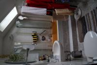 Haus Tamm klein rxtv7nb51kwu