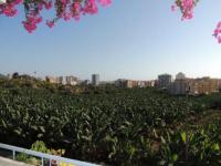 Wohnung kaufen Alanya klein q42u3g4gdcu5