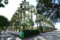 Wohnung kaufen Alanya klein tyi7gyr83ozc