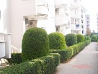 Wohnung kaufen Alanya/Oba klein hbb23lvsecyv