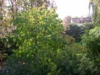 Wohnung kaufen Baden-Baden klein 7x9acc4t35ns