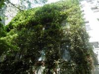 Wohnung kaufen Berlin klein 32nqj014ilq7