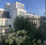 Wohnung kaufen Berlin klein d8avenqsc030