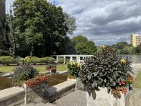 Wohnung kaufen Berlin klein qfialzhzodeo