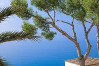 Wohnung kaufen Cala Fornells klein ipvwqumarulp