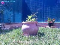 Wohnung kaufen Cala Major klein m1f2wtv9edpv