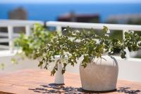 Wohnung kaufen Cas Catala klein 8njfp5kq3li1