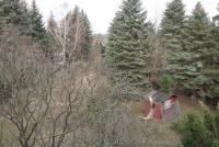 Wohnung kaufen Chemnitz klein nc2hsrwc0hds