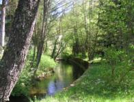 Wohnung kaufen Enzklösterle klein 9ohecpddp9oh