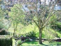 Wohnung kaufen Gaggenau klein a0t1obq4f9w2