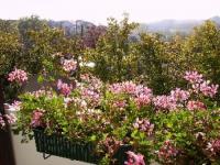 Wohnung kaufen Illingen-Eichwald klein ys8sjt1v5vtq