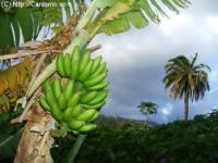 Wohnung kaufen Ingenio de Santa Lucia klein n3gql7uy605z